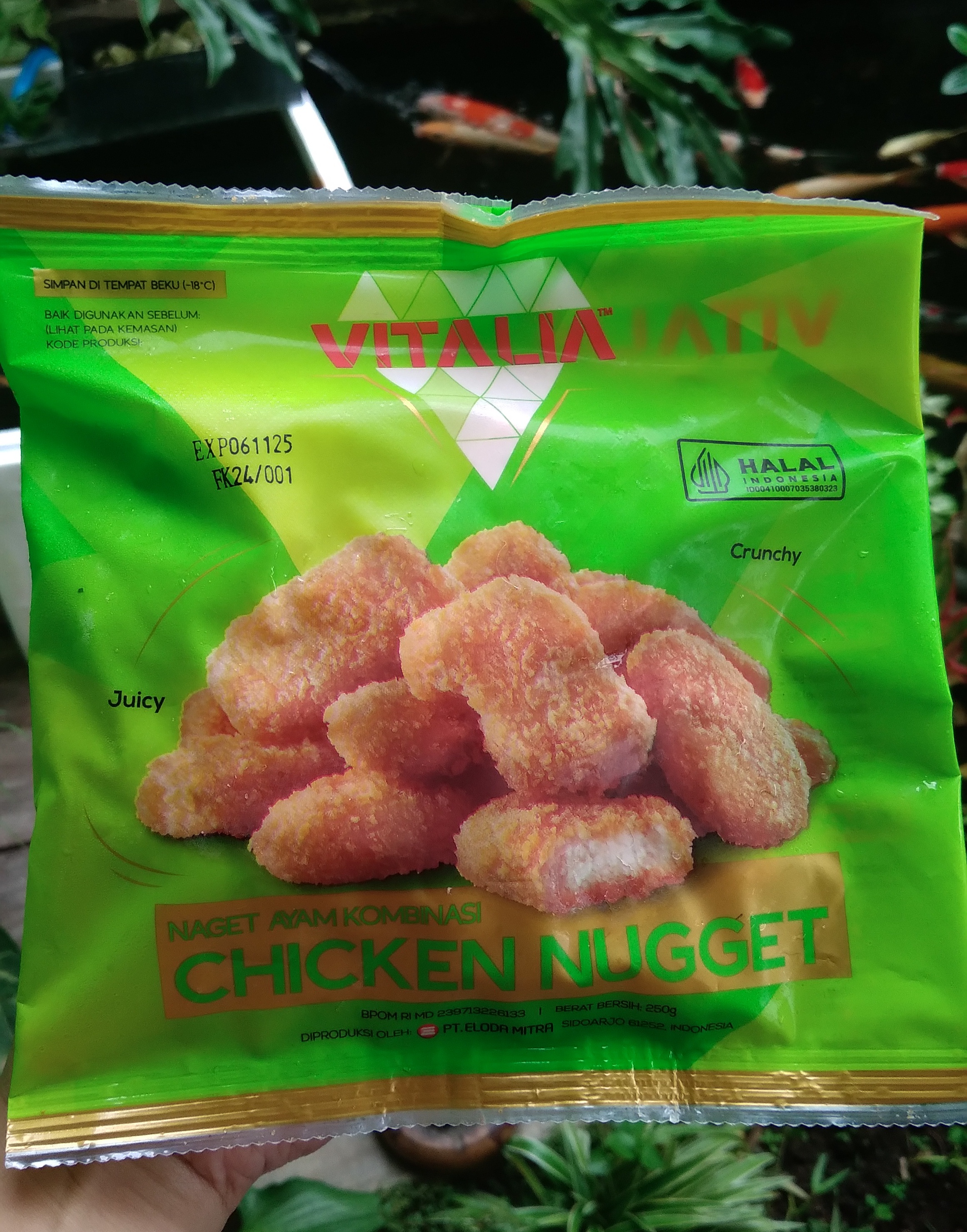 NUGGET