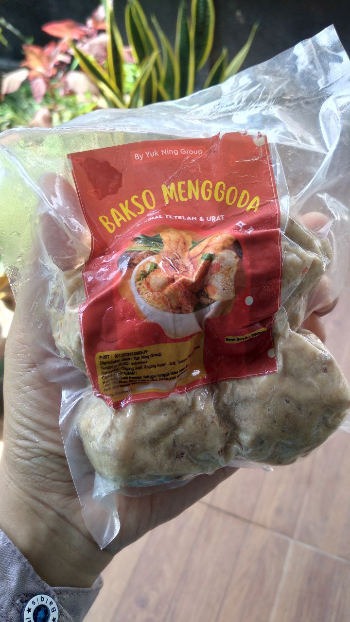 Bakso menggoda isi 4